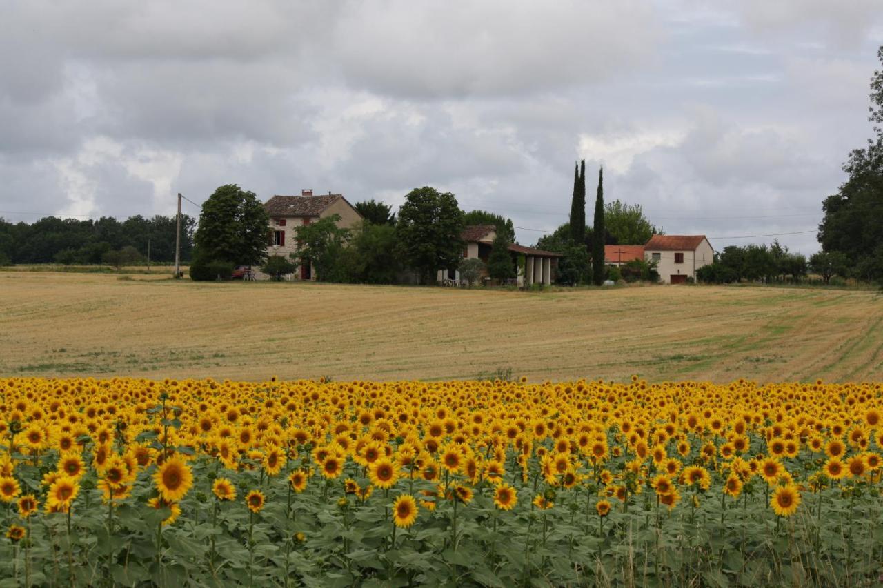 Domaine 3 Soleils Bed & Breakfast Labastide-de-Levis Exterior photo